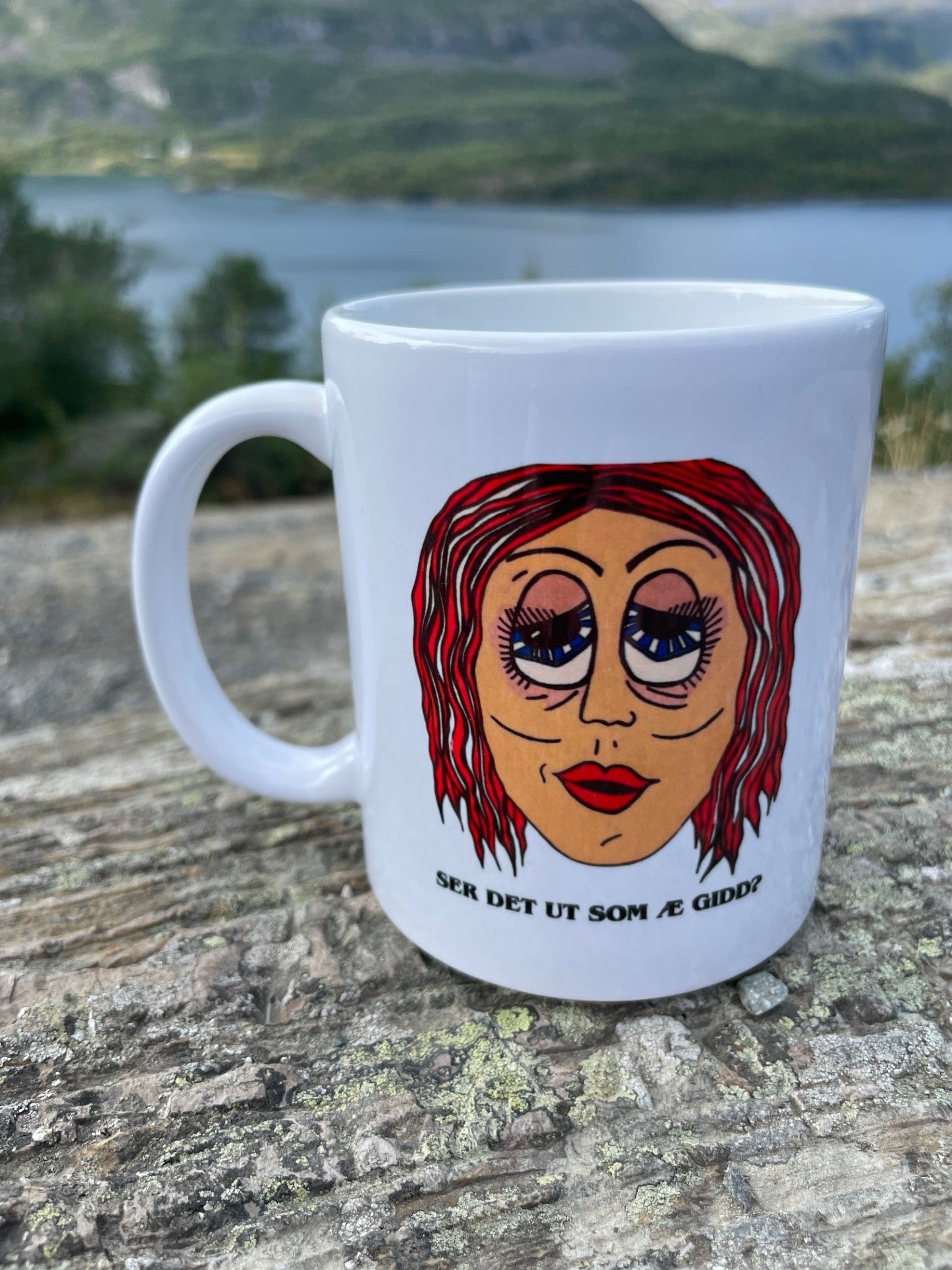 Ser det ut som æ gidd?