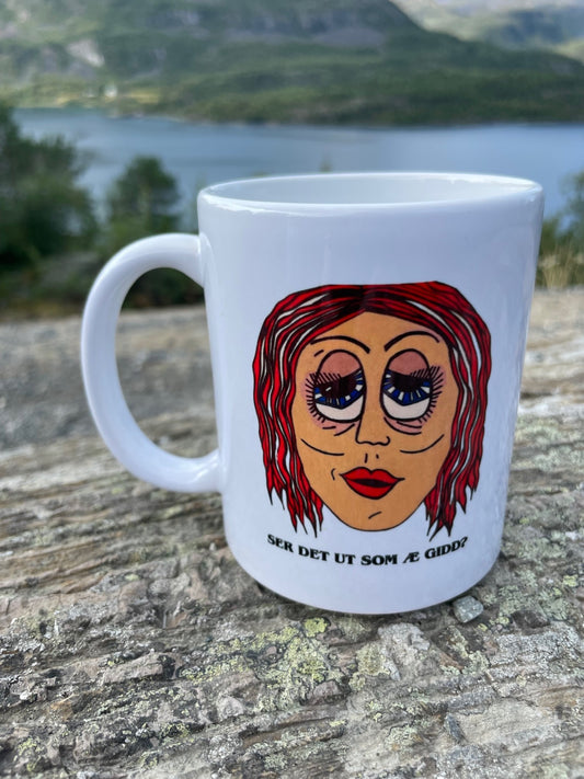 Ser det ut som æ gidd?